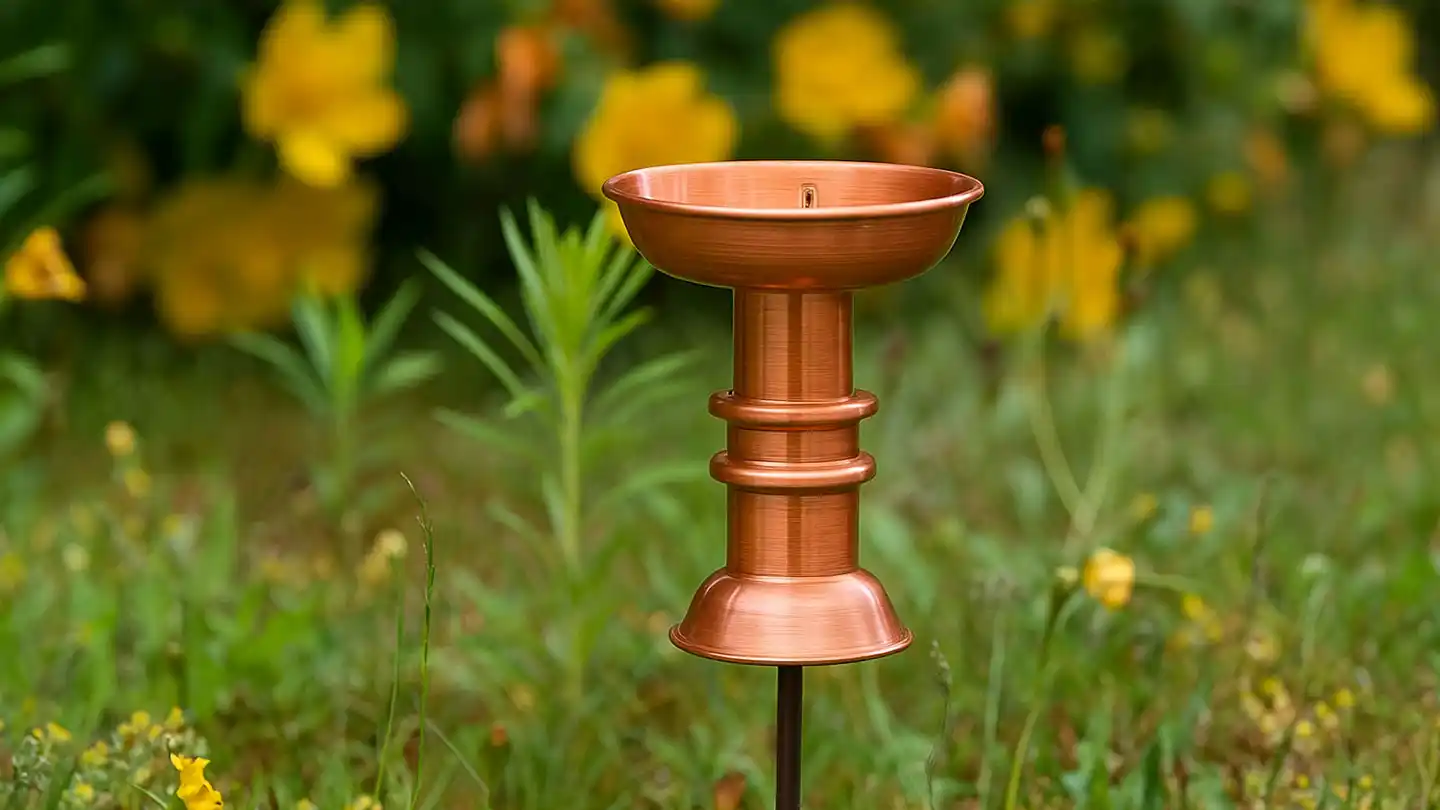 Rain Gauge in garden