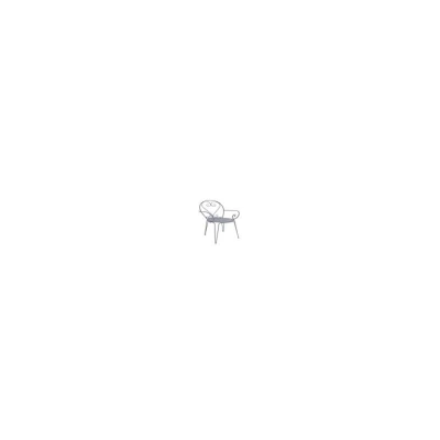 Chaise classique avec accoudoirs Chaise classique avec accoudoirs