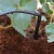Kit d’irrigation goutte-à-goutte pour serre