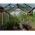 Serre Natura en cèdre 12 m²