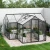 Serre en T Premium Noire – Verre/Polycarbonate